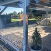 Carportplane_mit_Fenster2