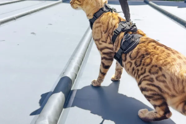 Stangenabdeckung mehr Sicherheit für die Familie